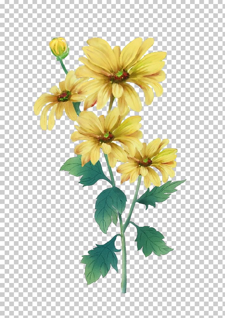 Double Ninth Festival Chrysanthemum Watercolor Painting Yellow PNG, Clipart, Chrysanths, Cut Flowers, Dahlia, Daisy Family, Deco Free PNG Download