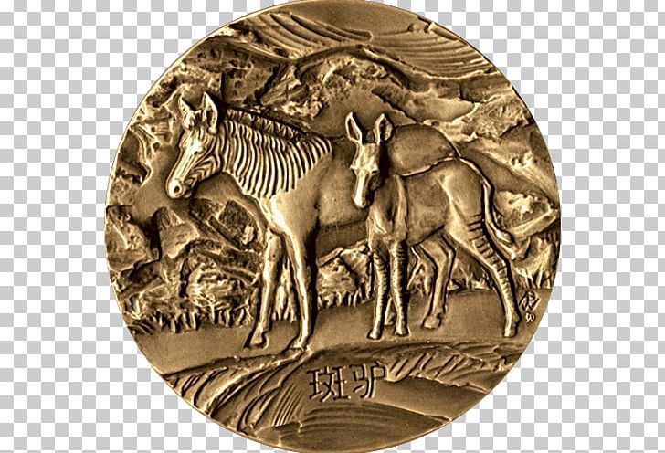 Gold Medal Coin Silver Bronze PNG, Clipart, Animal, Bronze, Coin, Gold, Jewelry Free PNG Download