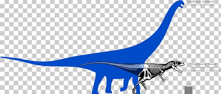 Mapusaurus Argentinosaurus Paralititan Bruhathkayosaurus Tyrannosaurus PNG, Clipart, Amphicoelias, Argentinosaurus, Ark Survival, Blue, Bruhathkayosaurus Free PNG Download