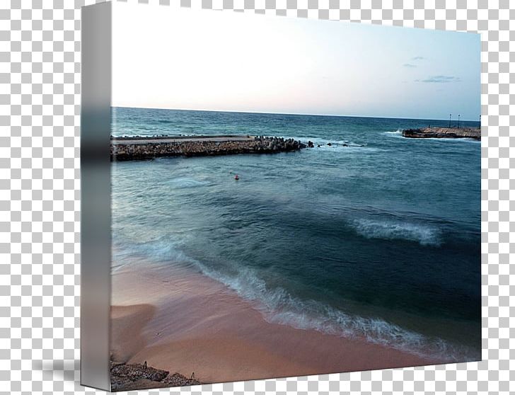 Shore Sea Beach Coast Ocean PNG, Clipart, Beach, Coast, Coastal And Oceanic Landforms, Inlet, Nature Free PNG Download