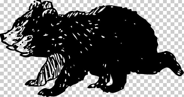 Brown Bear American Black Bear Polar Bear PNG, Clipart, Animals, Bea, Big Cats, Black, Carnivoran Free PNG Download