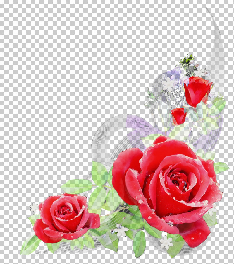 Garden Roses PNG, Clipart, Artificial Flower, Bouquet, Closeup, Cut Flowers, Floral Design Free PNG Download