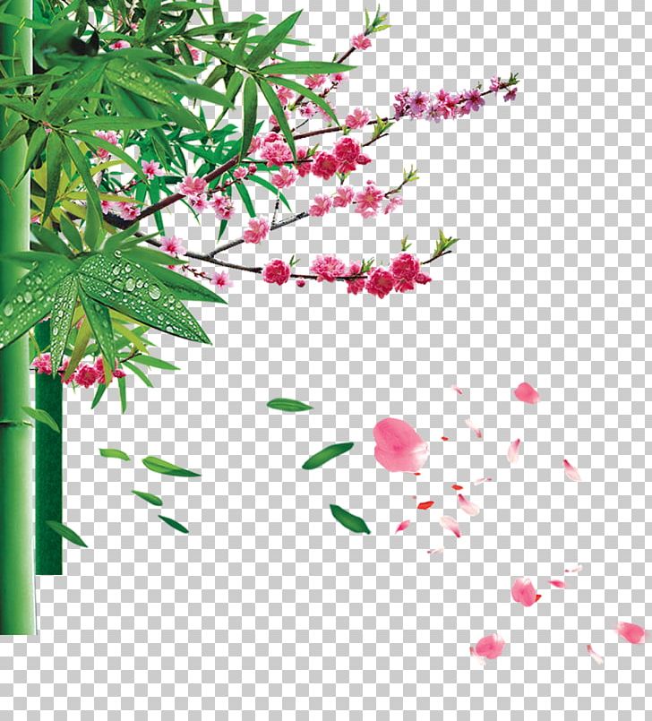 Apricot Printing PNG, Clipart, Apricot, Bamboo, Bamboo Vector, Branch, Che Free PNG Download
