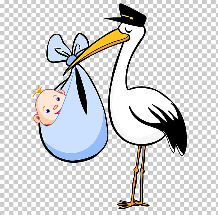 Bird White Stork Graphics PNG, Clipart, Animals, Art, Artwork, Baby, Beak Free PNG Download