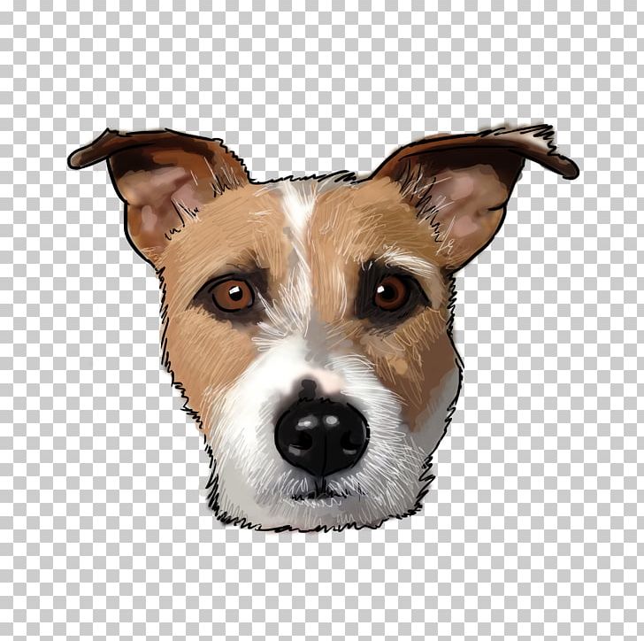 Dog Breed Jack Russell Terrier Greyhound Companion Dog PNG, Clipart, Breed, Carnivoran, Companion Dog, Dog, Dog Breed Free PNG Download
