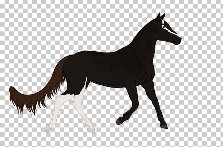 Mustang Foal Stallion Colt Mare PNG, Clipart,  Free PNG Download