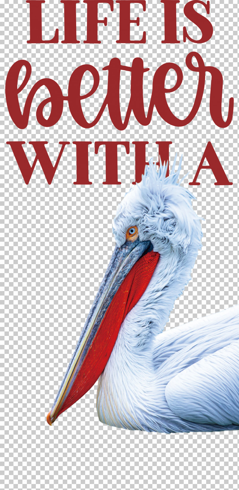 Life Better PNG, Clipart, Argus, Beak, Better, Biology, Birds Free PNG Download