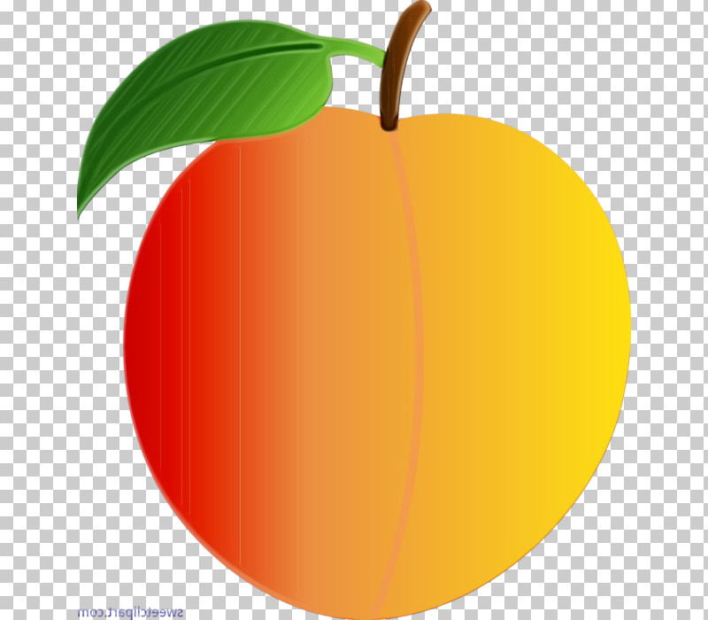 Orange PNG, Clipart, Apple, Drupe, Food, Fruit, Leaf Free PNG Download