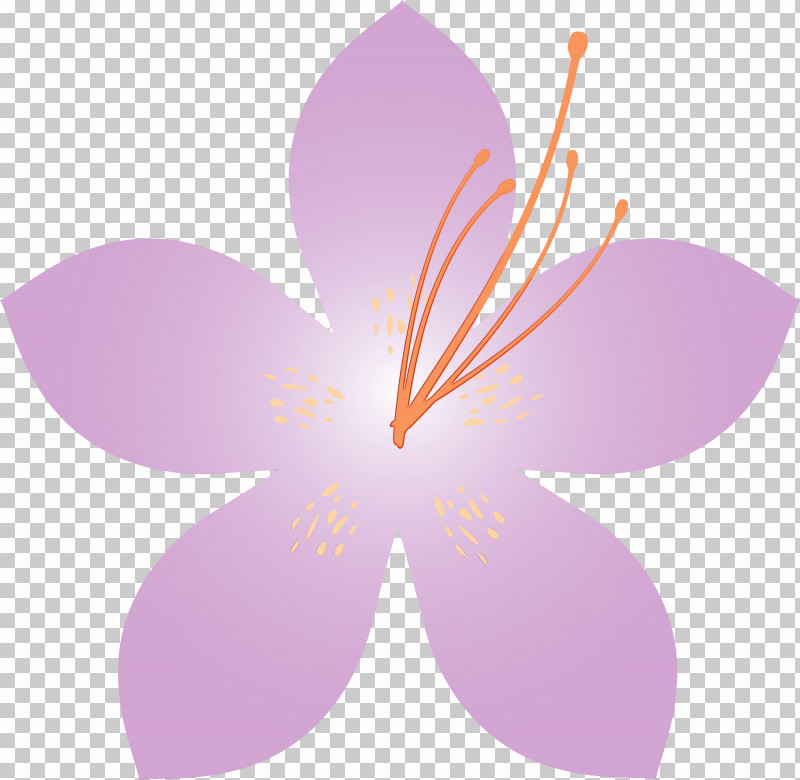 Petal Flower Violet Plant Pink PNG, Clipart, Azalea, Azalea Flower, Crocus, Flower, Paint Free PNG Download
