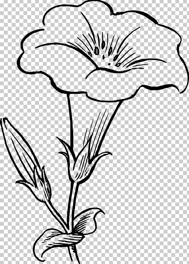 Flower Drawing Black And White PNG, Clipart, Art, Artwork, Black, Black And White, Branch Free PNG Download