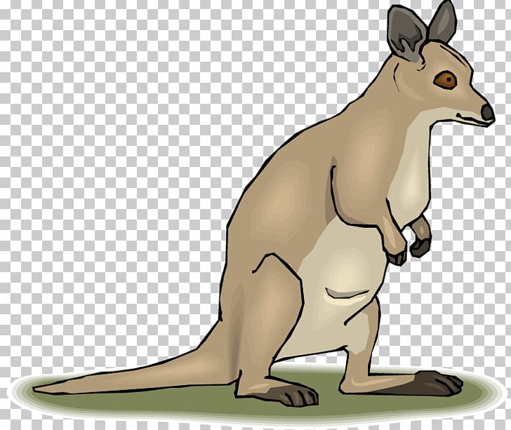 Marsupial Tree-kangaroo Mammal PNG, Clipart, Animal, Animal Figure, Animals, Carnivoran, Cuteness Free PNG Download