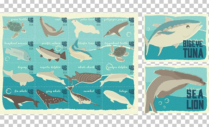 Marine Mammal Fauna Turquoise Fish PNG, Clipart, Aqua, Blue, Fauna, Fish, Mammal Free PNG Download