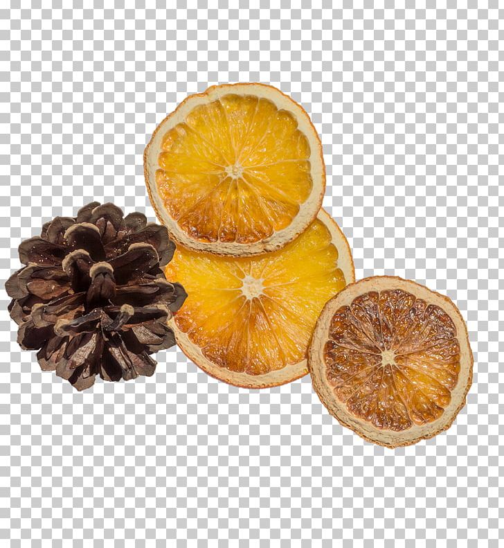 Orange Slice PNG, Clipart, Adobe Illustrator, Citrus Xd7 Sinensis, Download, Echinacea, Encapsulated Postscript Free PNG Download