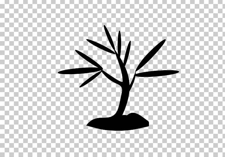 Computer Icons Christmas Tree PNG, Clipart, Black And White, Branch, Christmas Tree, Computer Icons, Encapsulated Postscript Free PNG Download