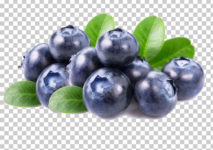 Fruit Salad Blueberry Dried Fruit PNG, Clipart, Apple, Apple Fruit, Apricot, Berry, Bilberry Free PNG Download