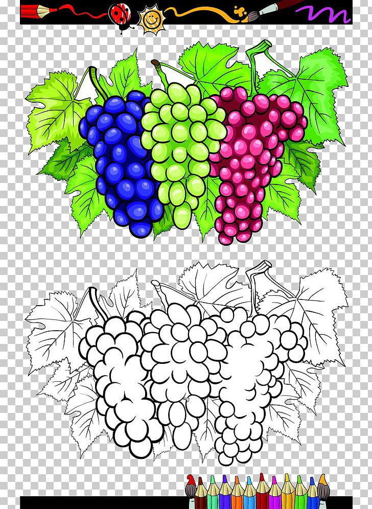 Grape Stock Photography Illustration PNG, Clipart, Art, Black Grapes, Bunch, Bunch Of Flowers, Cartoon Free PNG Download