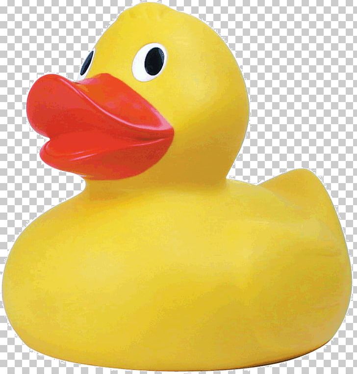 Rubber Duck Giant Bath Duck Toy PNG, Clipart, Bathtime Water Toys 9 Rubber Ducks, Bath Toy, Duck, Giant Bath Duck, Giant Rubber Duck Bath Toy Free PNG Download