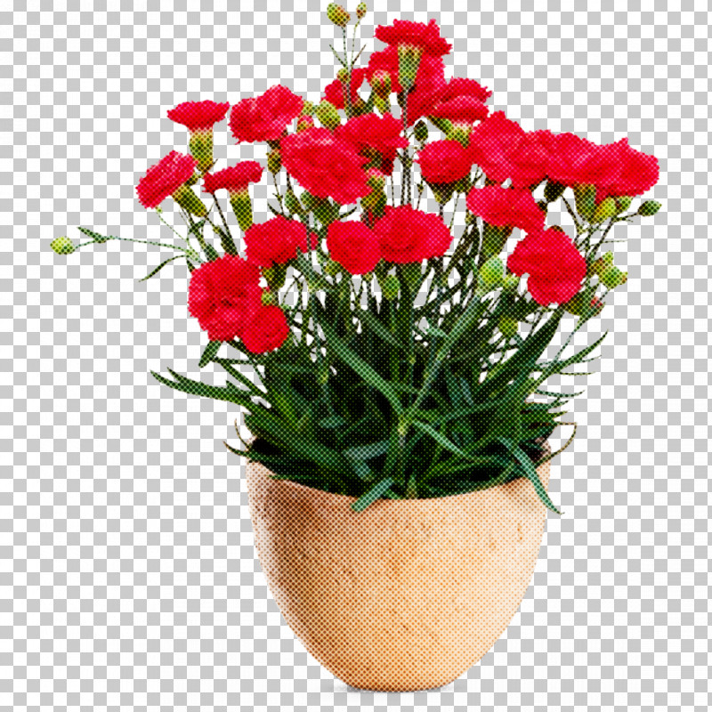Rose PNG, Clipart, Annual Plant, Biology, Cut Flowers, Floristry, Flower Free PNG Download