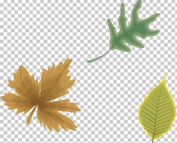 Depth Of Field Photography Focus PNG, Clipart, Circle Of Confusion, Effect, Effect Vector, Fall Leaves, Happy Birthday Vector Images Free PNG Download