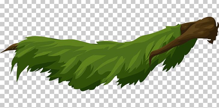 Leaf Tree Branch PNG, Clipart, Branch, Follaje, Grass, Horizontal Plane, Image File Formats Free PNG Download