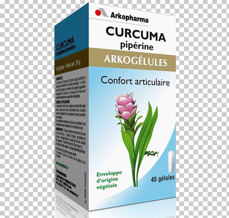 Dietary Supplement ARKOPHARMA Laboratories PNG, Clipart, Capsule, Curcuma, Dietary Supplement, Flower, Food Free PNG Download