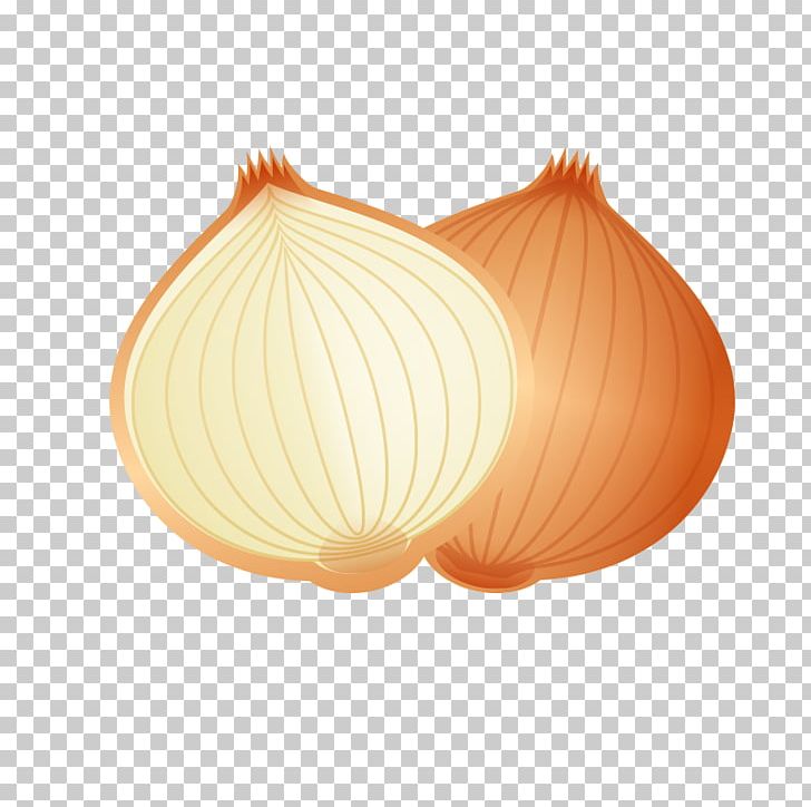 Onion Cartoon PNG, Clipart, Balloon Cartoon, Boy Cartoon, Capsicum Annuum, Cartoon, Cartoon Cart Free PNG Download