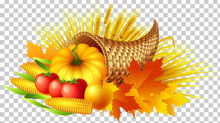 Thanksgiving Cornucopia PNG, Clipart, Chrysanths, Cornucopia, Cucurbita, Daisy Family, Flower Free PNG Download