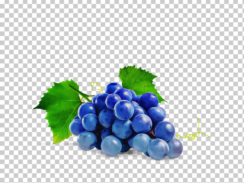 Grape Seedless Fruit Grapevine Family Berry Fruit PNG, Clipart, Berry, Bilberry, Blueberry, Currant, Flower Free PNG Download