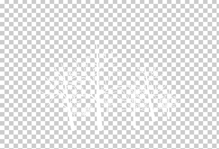 Branches PNG, Clipart, Angle, Black And White, Branches, Circle, Computer Icons Free PNG Download