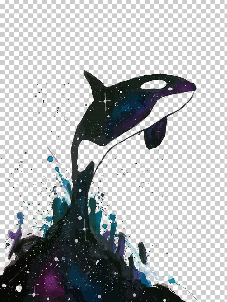 Leap Of The Killer Whale PNG, Clipart, Animal, Baleen Whale, Cartoon, Cetacea, Computer Wallpaper Free PNG Download