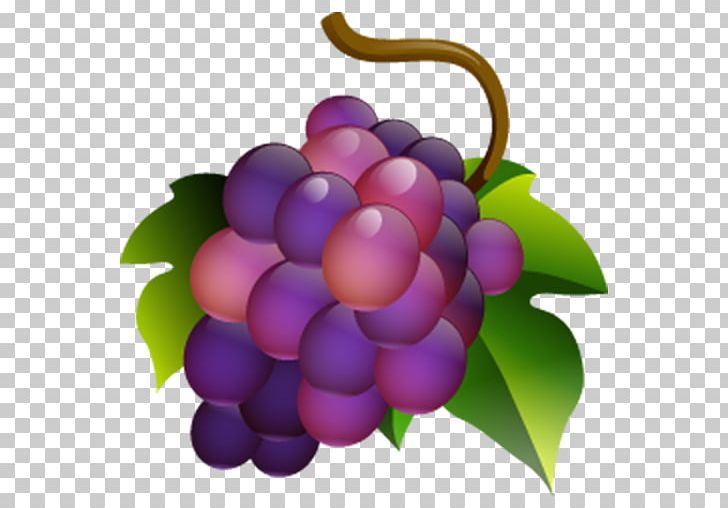 Muscadine Grape Common Grape Vine Wine Computer Icons PNG, Clipart, Buffet, Common Grape Vine, Computer Icons, Drink, Flowering Plant Free PNG Download