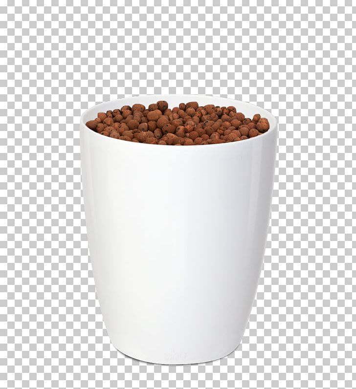 Coffee Cup Brussels Diamond Orchid Superfood PNG, Clipart, Box, Brussels, Centimeter, Coffee Cup, Cup Free PNG Download