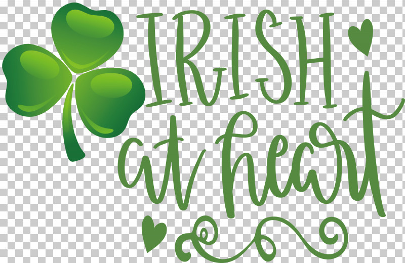 Shamrock Irish Saint Patrick PNG, Clipart, Biology, Fruit, Green, Irish, Leaf Free PNG Download