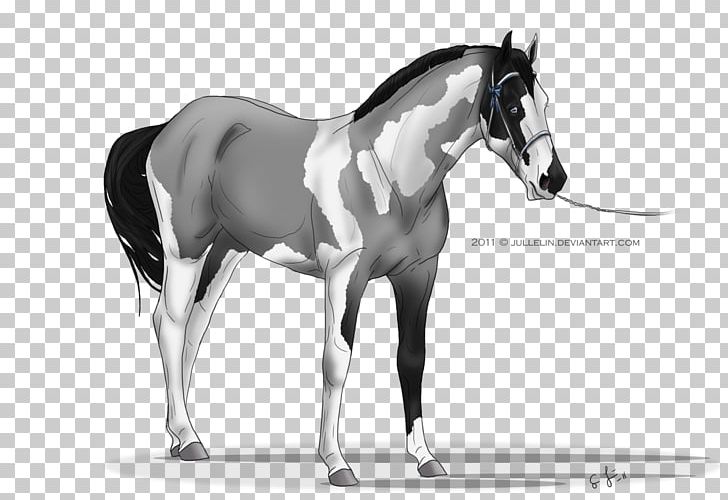 Mane Mustang Stallion Foal Colt PNG, Clipart, Black And White, Bridle, Colt, Foal, Halter Free PNG Download