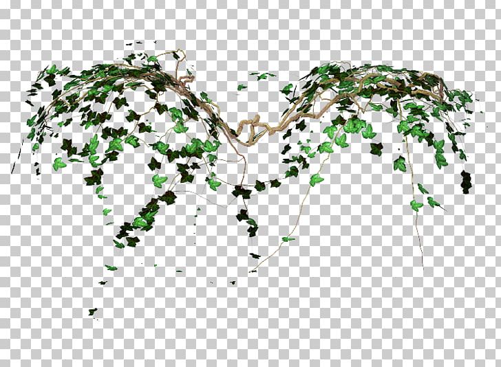 Vine Computer Icons Desktop Photography PNG, Clipart, Branch, Computer Icons, Desktop Wallpaper, Flora, Flowering Plant Free PNG Download