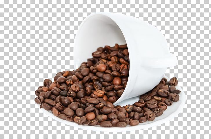 Coffee Bean Tea Cafe Drink PNG, Clipart, Adult Child, Alcoholic Drink, Bean, Beans, Cafe Free PNG Download