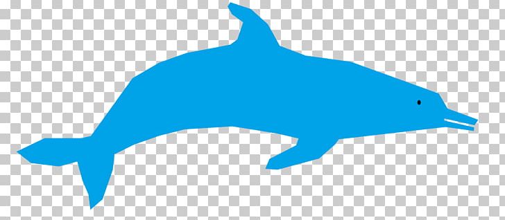 Tucuxi Common Bottlenose Dolphin Computer Icons PNG, Clipart, Animal, Animals, Beak, Cetacea, Cobalt Blue Free PNG Download