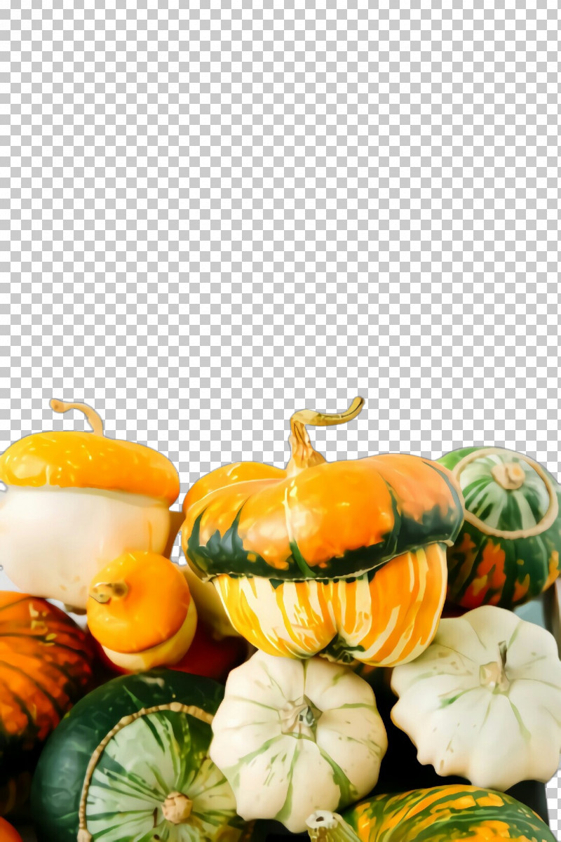 Pumpkin PNG, Clipart, Calabaza, Cucurbita, Fruit, Gourd, Natural Foods Free PNG Download