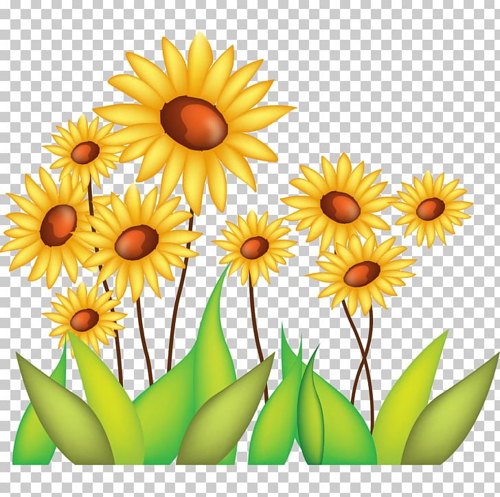 Common Sunflower Drawing PNG, Clipart, Animation, Beautiful Girl, Beauty, Beauty Logo, Beauty Salon Free PNG Download