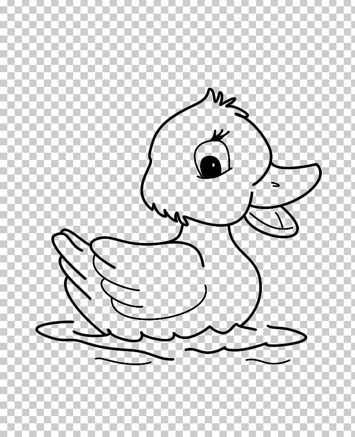 Duck Water Bird Goose Cygnini PNG, Clipart, Animals, Art, Beak, Bird, Black Free PNG Download