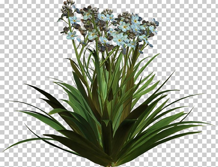 Flowerpot Cut Flowers Lilium PNG, Clipart, 2016, Blog, Collage, Cut Flowers, Flower Free PNG Download