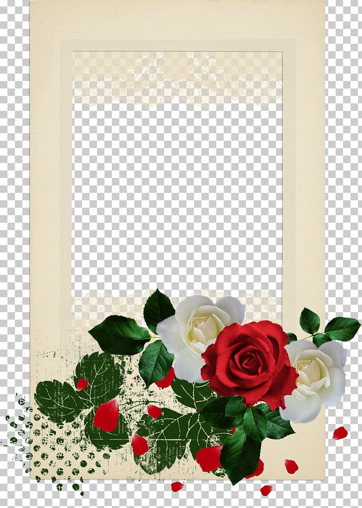 Garden Roses Beach Rose Flower PNG, Clipart, Artificial Flower, Border, Border Frame, Cartoon, Certificate Border Free PNG Download