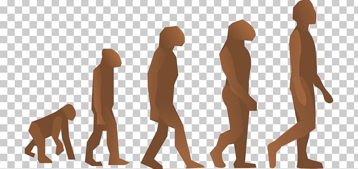 Human Evolution The Evolution Of Man Modern Humans PNG, Clipart, Arm, Binocular Vision, Biology, Carnivoran, Charles Darwin Free PNG Download