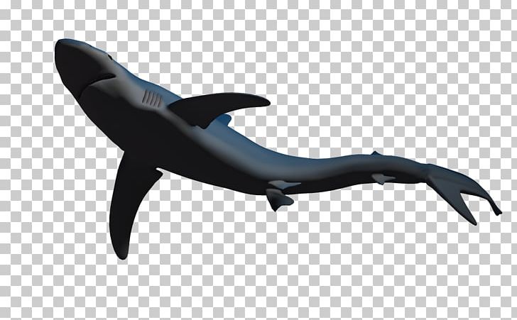Shark Fish Dolphin 3D Computer Graphics PNG, Clipart, 3d Computer Graphics, 3d Fish, Animals, Aquarium Fish, Blue Free PNG Download