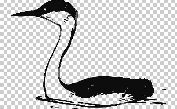 Water Bird Heron Graphics PNG, Clipart, Animals, Artwork, Beak, Bird, Black And White Free PNG Download