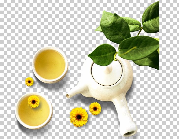 Green Tea Chrysanthemum Tea Teapot Japanese Tea Ceremony PNG, Clipart, Advertising, Alternative Medicine, Chinese Tea, Classical, Coffee Cup Free PNG Download