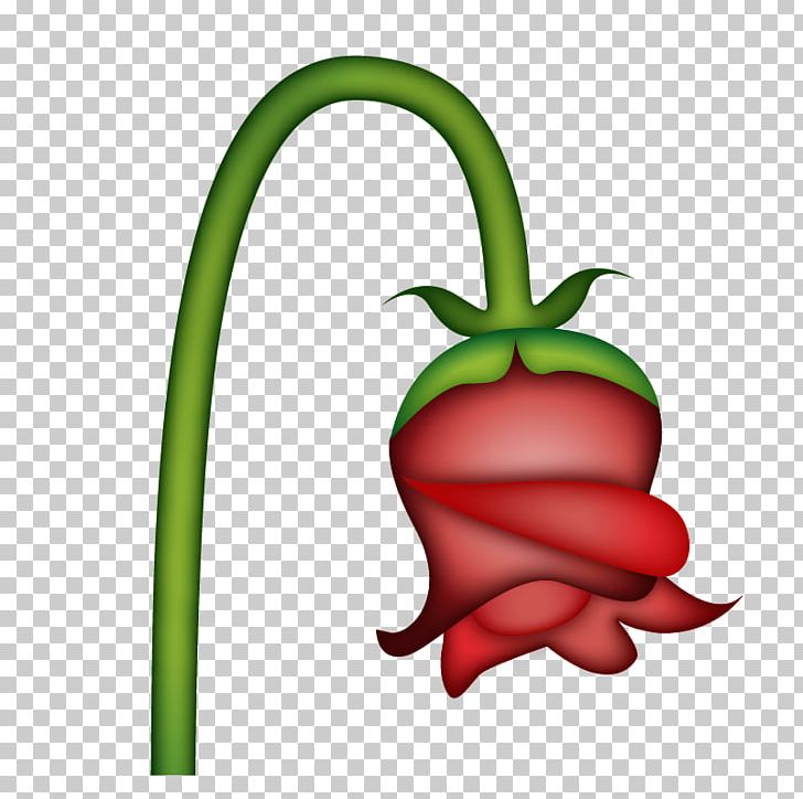 Serrano Pepper Emoji Flower Emoticon PNG, Clipart, Alyssa, Bell Peppers And Chili Peppers, Capsicum Annuum Var Acuminatum, Cayenne Pepper, Chili Pepper Free PNG Download