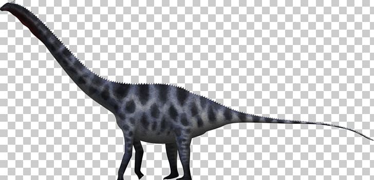 Supersaurus Dinosaur Size Seismosaurus Apatosaurus PNG, Clipart, Amphicoelias Altus, Animal Figure, Apatosaurus, Black And White, Bruhathkayosaurus Free PNG Download