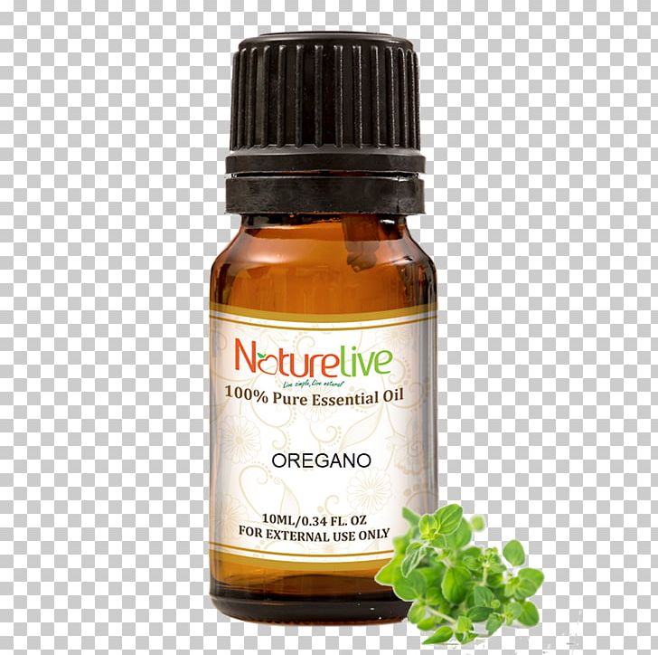 Aromatherapy Essential Oil Carrier Oil Herb PNG, Clipart, Aromatherapy, Carrier Oil, Essential, Essential Oil, Everlasting Flowers Free PNG Download