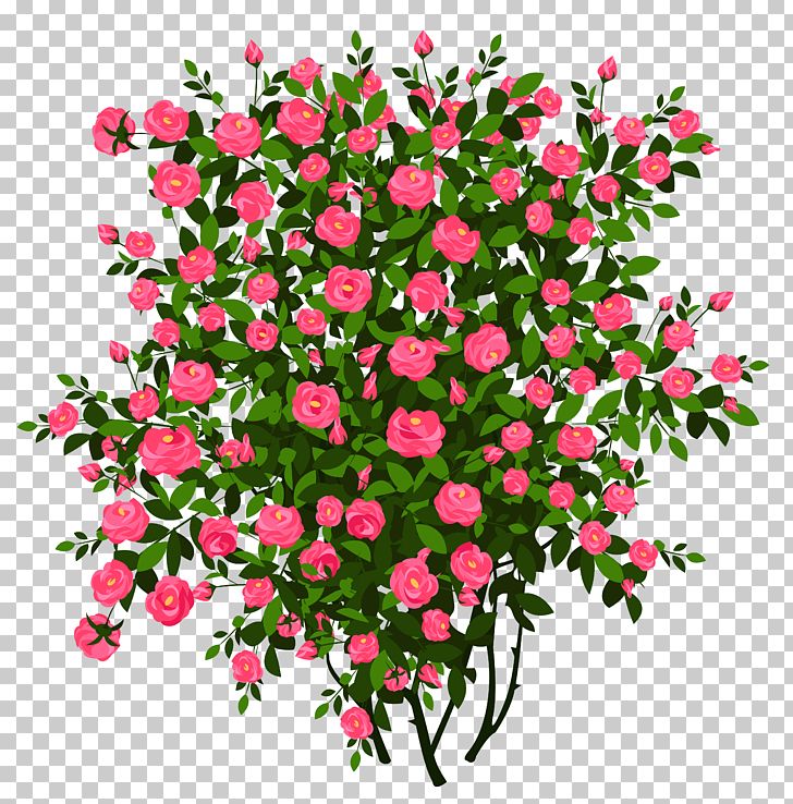 Rose Shrub Flower PNG, Clipart, Annual Plant, Artificial Flower, Branch, Clip Art, Color Free PNG Download